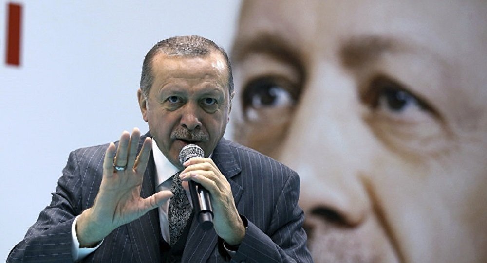 أردوغان يدعو إلى الحد من هيمنة الدولار في العالم