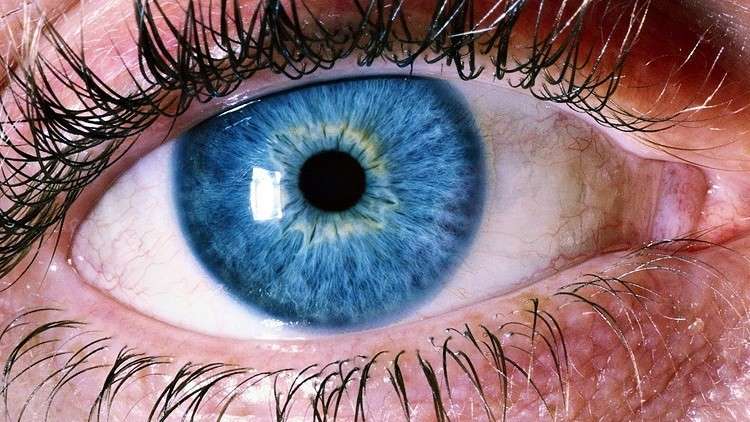 علماء يحذرون من زهري العيون المؤدي لفقدان البصر
