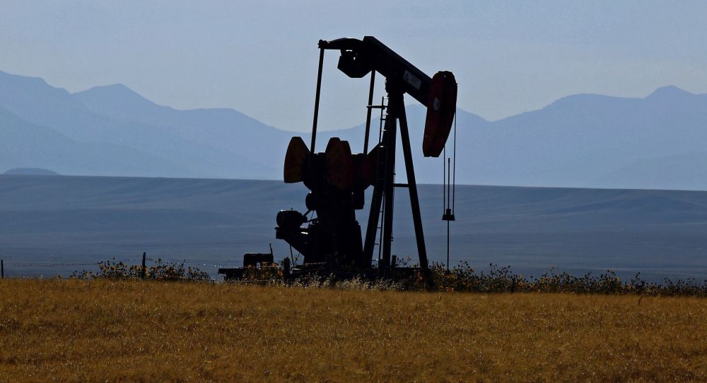مندوب إيران لدى "أوبك" يتهم السعودية وروسيا بمحاولة أخذ سوق النفط "رهينة"