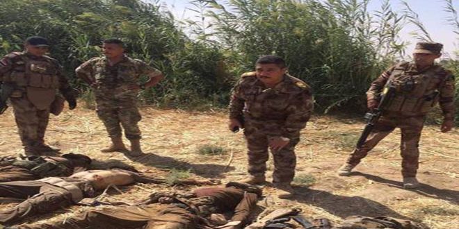 العراق:إحباط هجوم إرهابي جنوب غرب بغداد