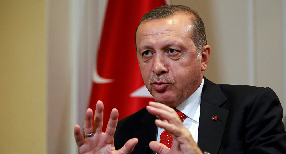أردوغان: نرفض تقسيمات "سايكس بيكو" جديدة في المنطقة