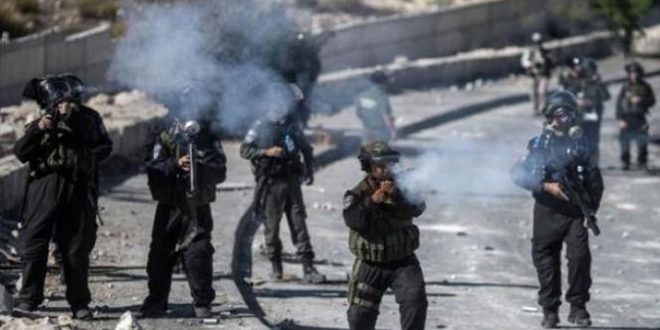 إصابة 25 فلسطينيا جراء اعتداء قوات الاحتلال على الاسرى فى سجن
النقب