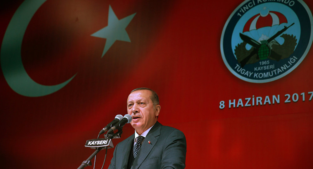 أردوغان يبحث الوضع في سورية مع ماكرون