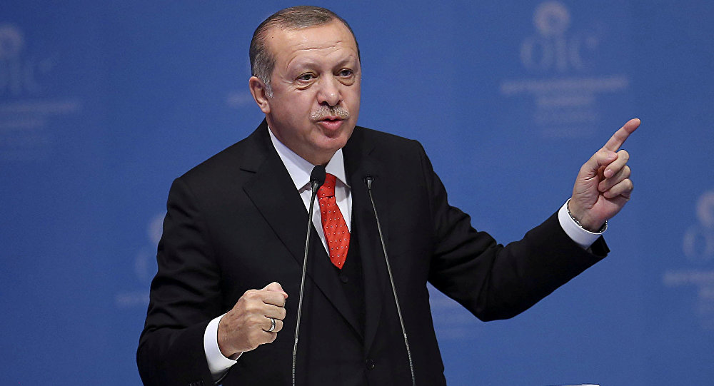 أردوغان: قضينا على 3000 عنصر إرهابي خلال عملية درع الفرات في سورية