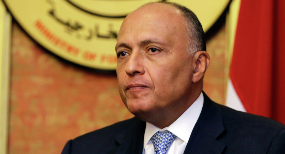 الخارجية المصرية تصدر بيانا بشأن تسريبات "إعلام الإخوان"