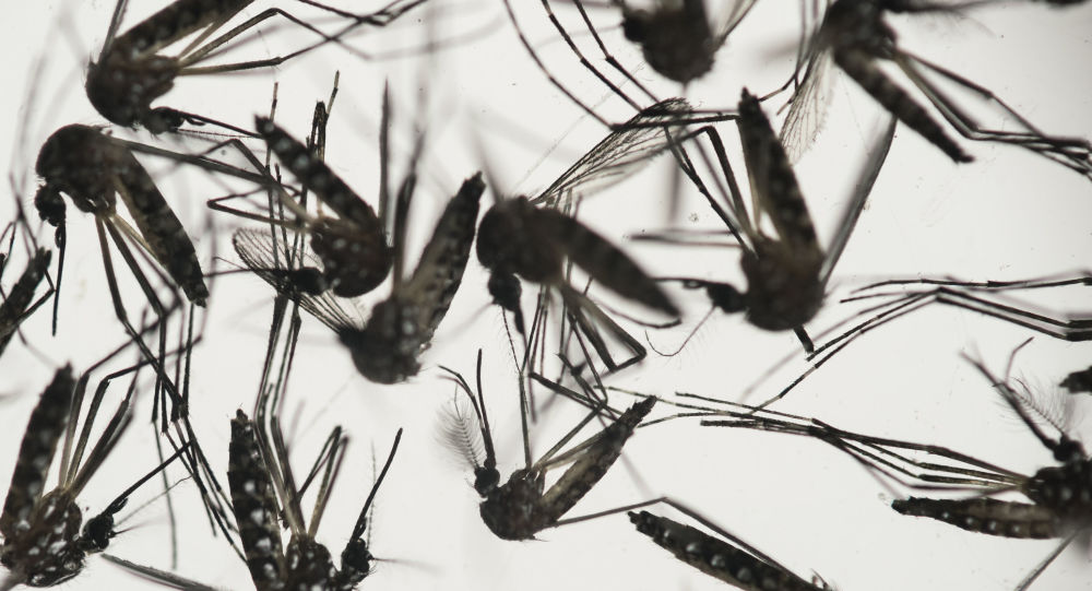 علماء أحياء يجدون طريقة لتجنب لسعة البعوض