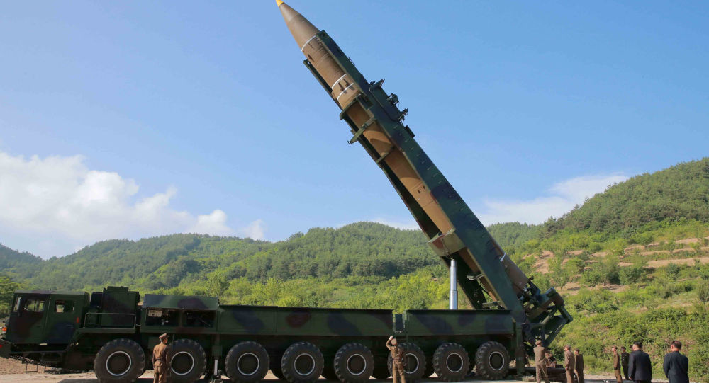 سفير روسيا لدى كوريا الشمالية: أتوقع ألا تطلق بيونغ يانغ صواريخ هذا العام