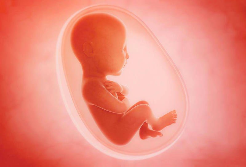 7 وضعيات للجنين قبل الولادة.. تعرفي إليها