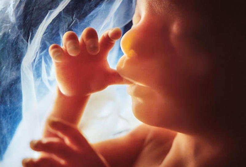 ماذا يفعل الجنين في بطن الأم؟