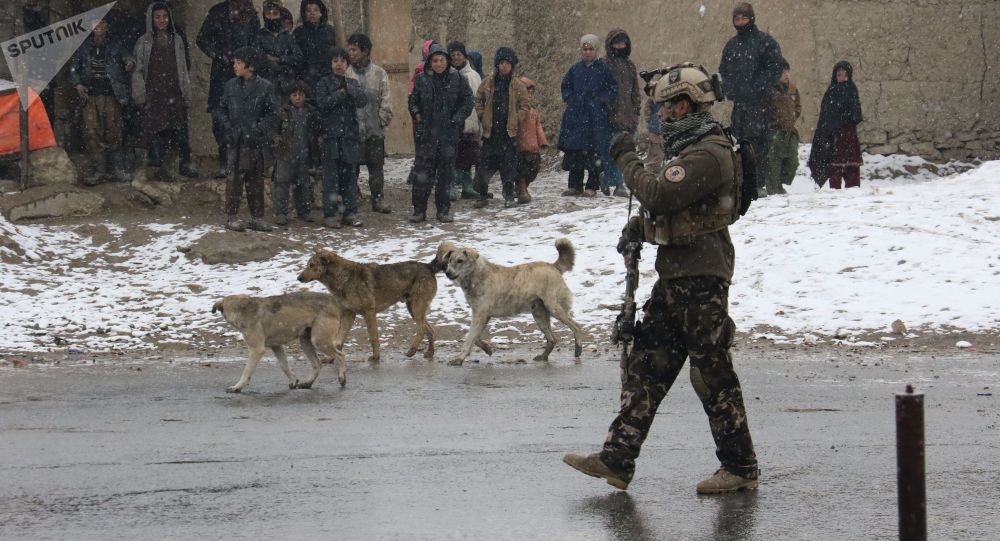قوات الأمن الأفغانية تقتل 4 مسلحين تابعين لطالبان جنوبي أفغانستان