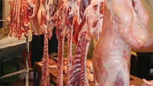 تحذير من شراء المفرومة منها مسبقاً.. مخالفات في مواصفات اللحوم الحمراء وأسعارها