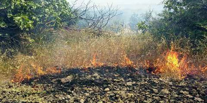 إرهابيو "النصرة" يجددون افتعال الحرائق بالأراضي الزراعية في محيط قرية حضر بريف القنيطرة الشمالي