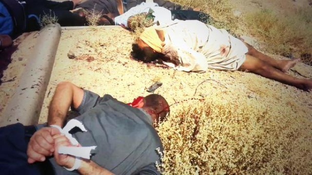 داعش يعدم 137 سجيناً ويدفنهم في مقبرة جماعية في الفلوجة غرب العراق
