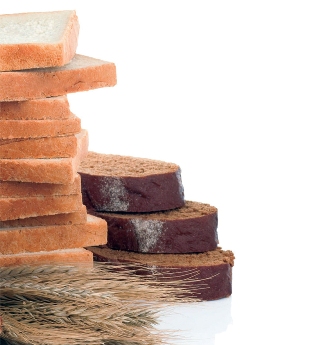 دراسة تكشف خدعة الخبز الأبيض والأسمر
