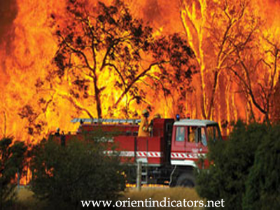 الاستراتيجية الوطنية لإدارة ومكافحة حرائق الغابات أصيبت ببعض الحروق