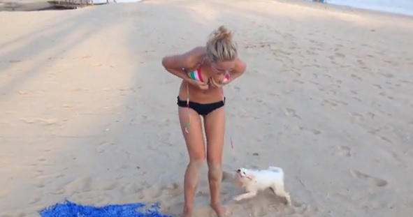 بالفيديو: كلب يحاول تعرية شابة بلباس البحر!