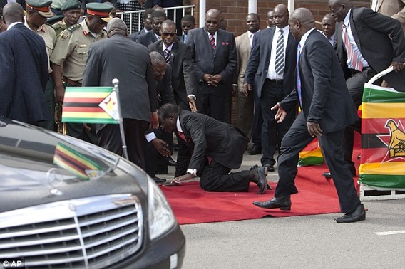 بالفيديو..لحظة سقوط رئيس زيميابوي عن المنصة بعد خطاب جماهيري