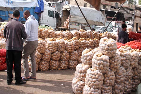 تجار «البطاطا» يبتزون «الاقتصاد» طمعاً باستيراد كميات إضافية الاحتكار يـرفع سعر البطاطا إلى 400 ليرة